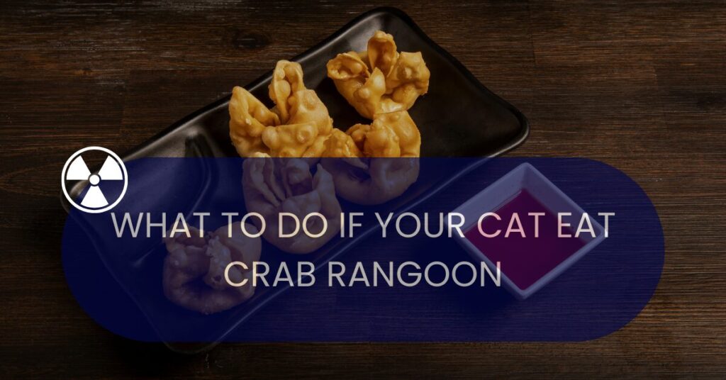 what to do if your cat eats crab rangoon