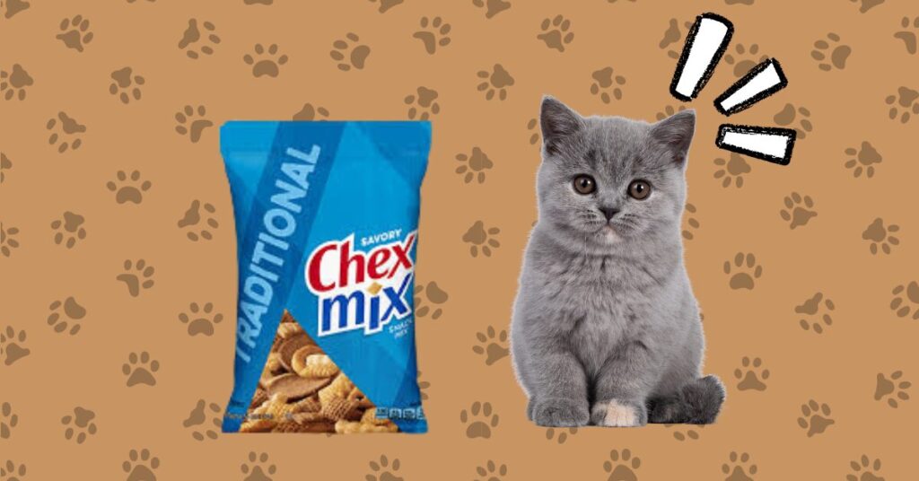 Cat seeing packet of chex mix!